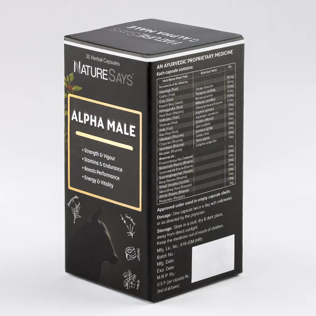 WhatsApp Image 2026-04-20 at 3.42.01 PMd.webp