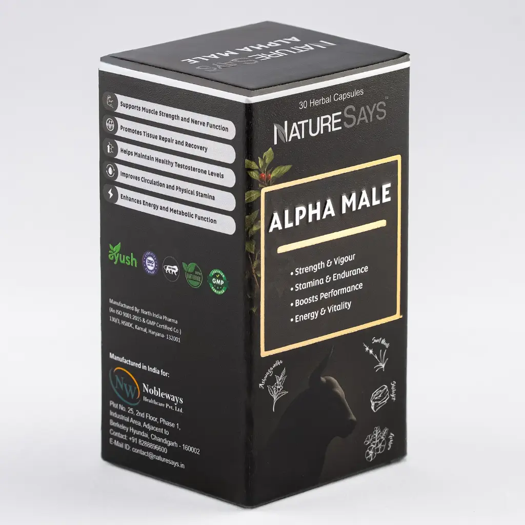 WhatsApp Image 2026-04-20 at 3.42.00 PM.webp