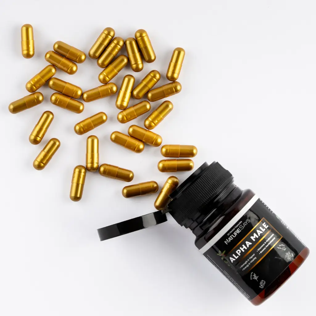 WhatsApp Image 2026-04-20 at 3.42.01 PMdd.webp